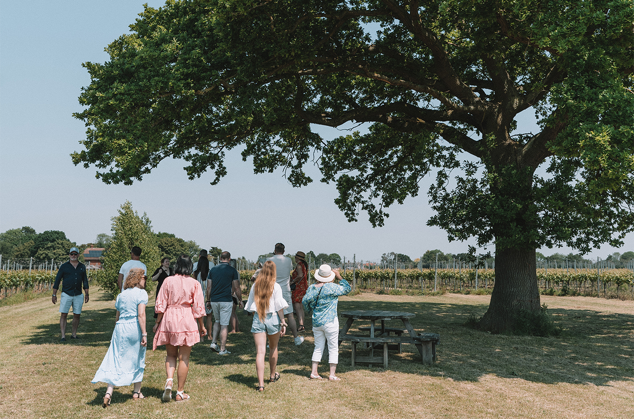 Burnt House Vineyard