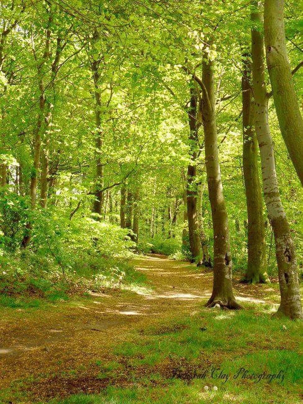 GuruShots - Nature March 2026