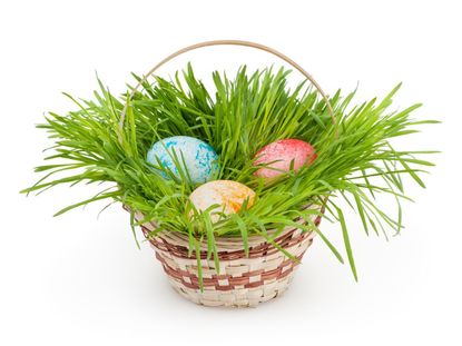 Easter Basket With Three Eggs And Real Green Grass