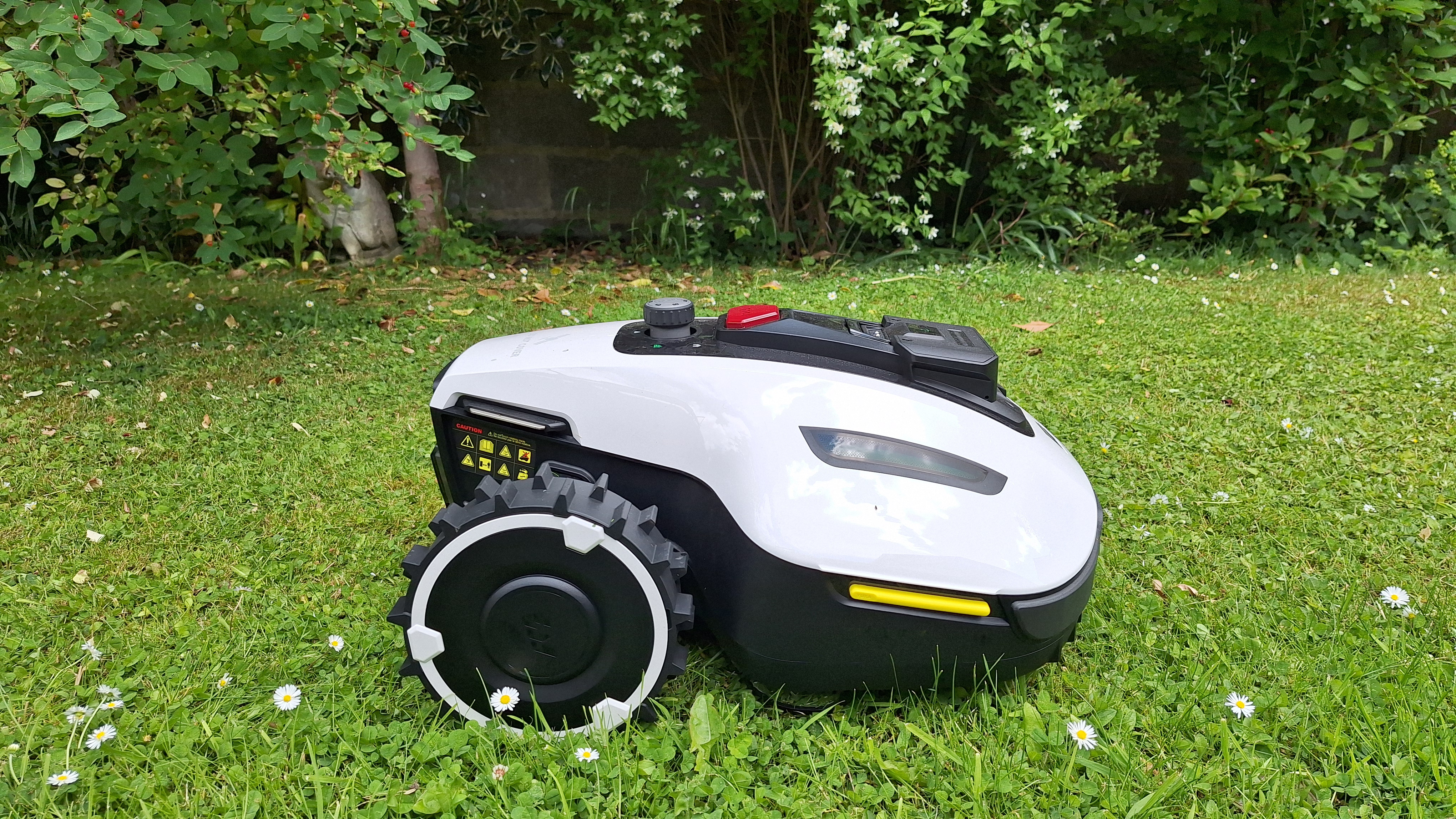 Mammotion Yuka Mini 600 in reviewer's yard
