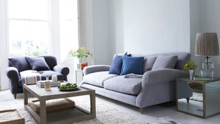 grey living room with grey sofa