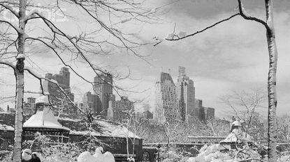 Branch, Winter, Neighbourhood, Freezing, Monochrome, Monochrome photography, Tower block, Snow, Skyscraper, Black-and-white, 