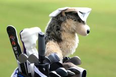 What Is The Wolf Golf Game? A head cover designed as a wolf and used by Matthew Wolff.GettyImages-1344130314.jpg