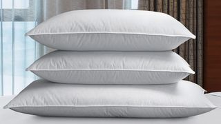 Sheraton Feather & Down Pillow, from one of w&h's best hotel pillow brands