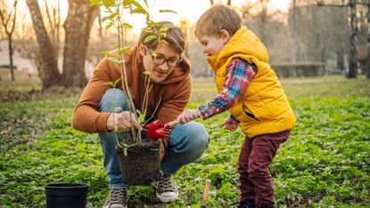Father and son planting tree 