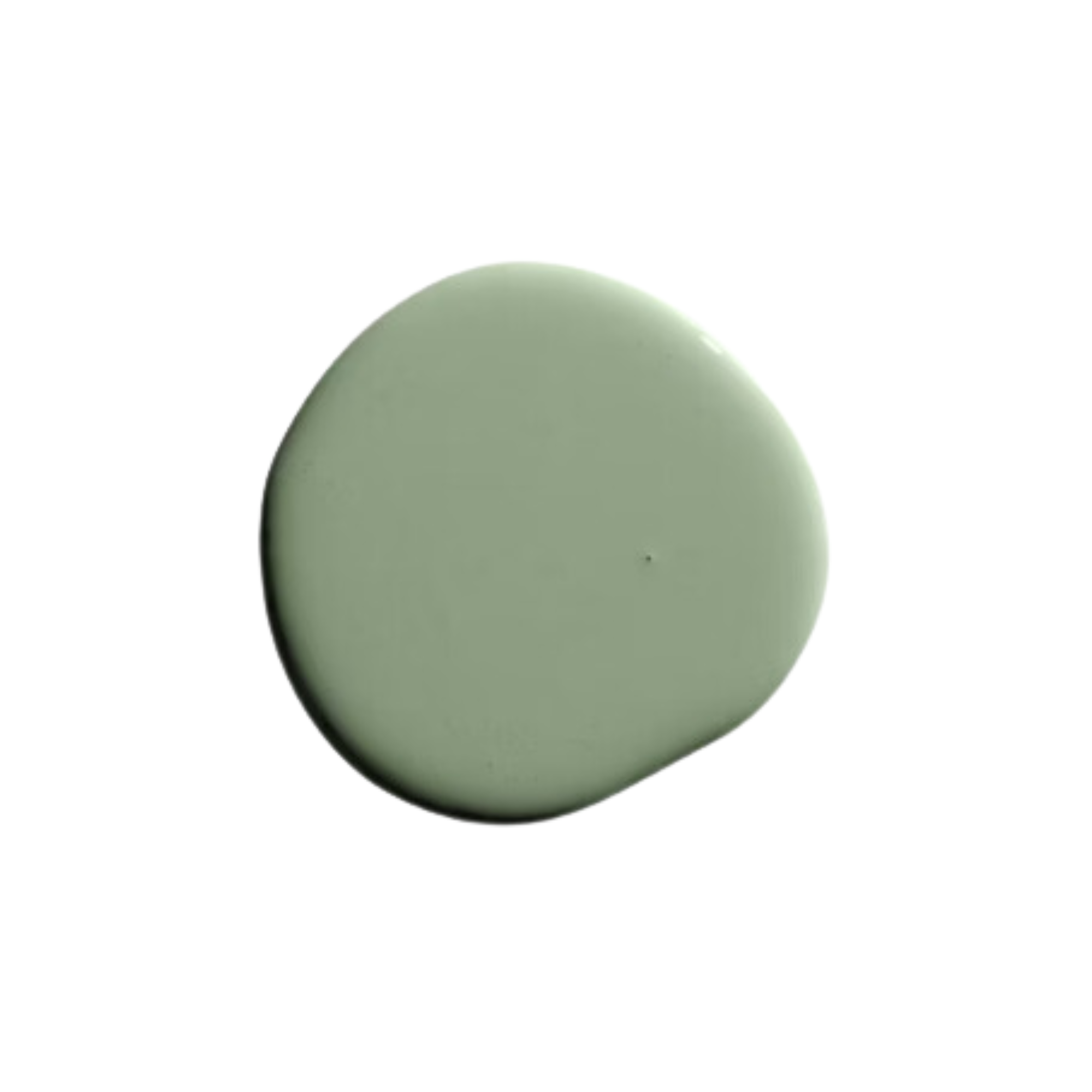 A swatch of mid-toned green paint