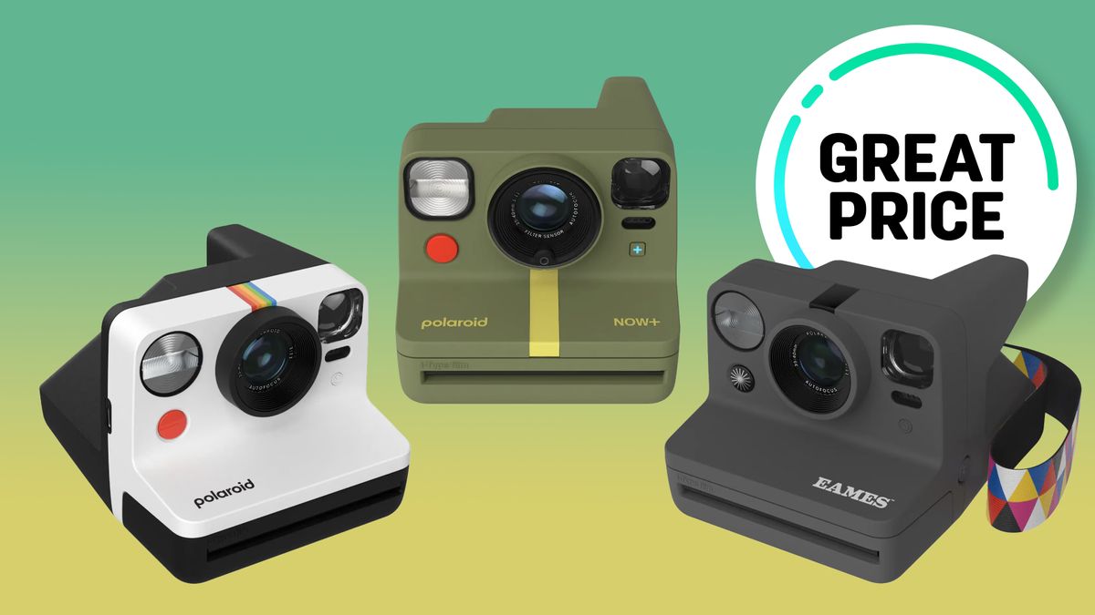 Three Polaroid Now cameras, against a green background, with the text &quot;Great price&quot;