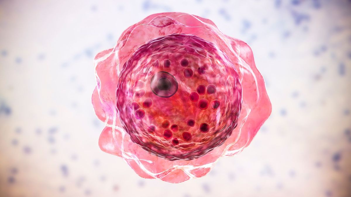 Fatal 'brain-eating' amoeba successfully treated with repurposed UTI drug - Livescience.com