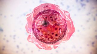 an illustration of the brain eating amoeba Balamuthia mandrillaris , depicted in pink against a white, speckled background