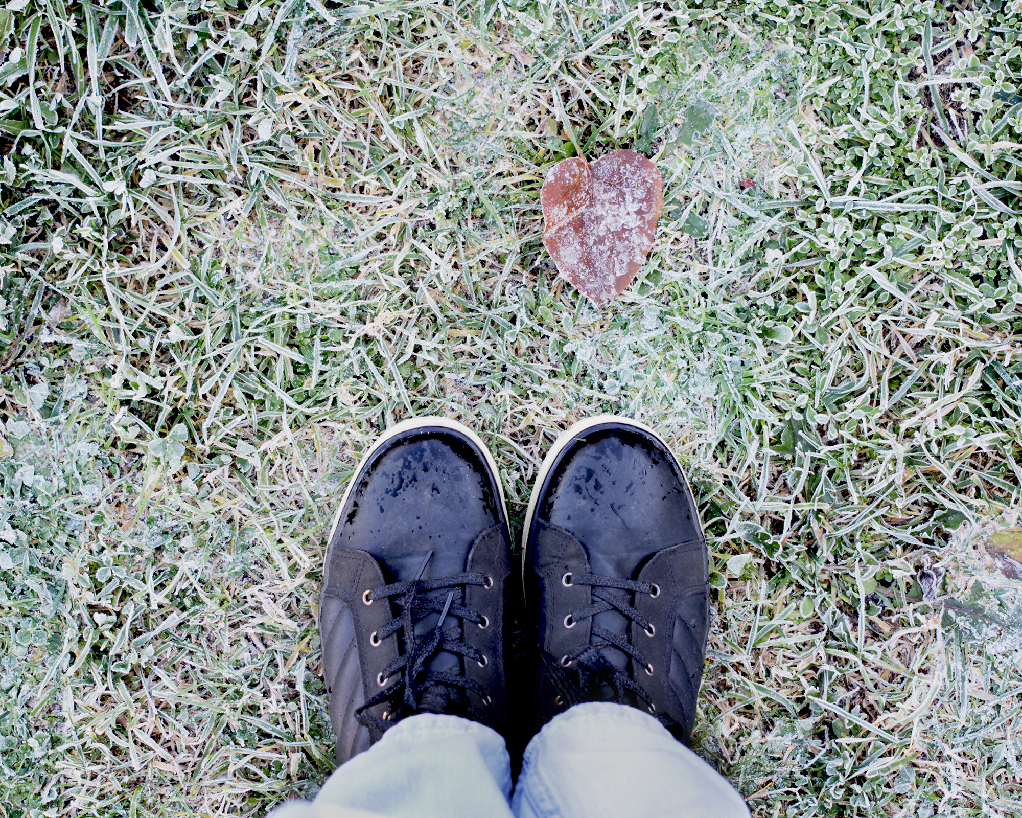 Feet in black boots and blue jeans on the grass covered with frost on the first cold day of autumn top view