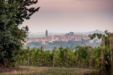 Peccioli, Terre di Pisa