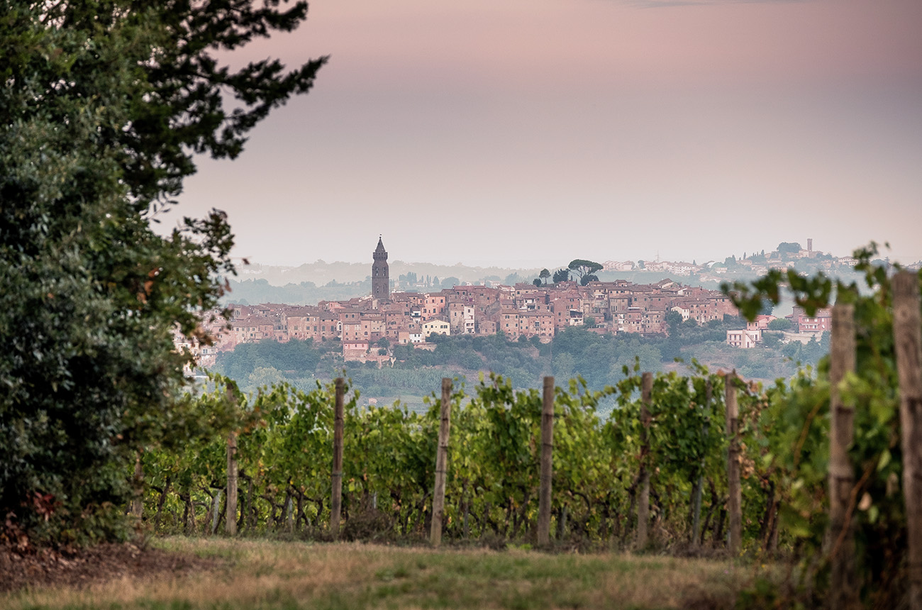 Peccioli, Terre di Pisa
