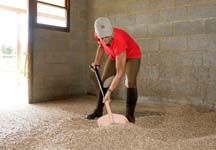 shoveling.jpg