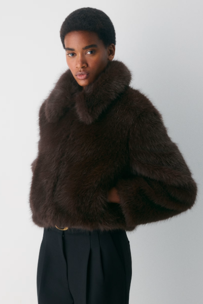Aritzia, Chamonix Coat