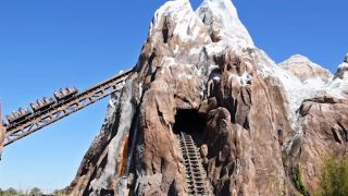 We may know why Expedition Everest has been closed for days at Disney World  