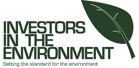 IIE_logo-setting-the-standard.jpg