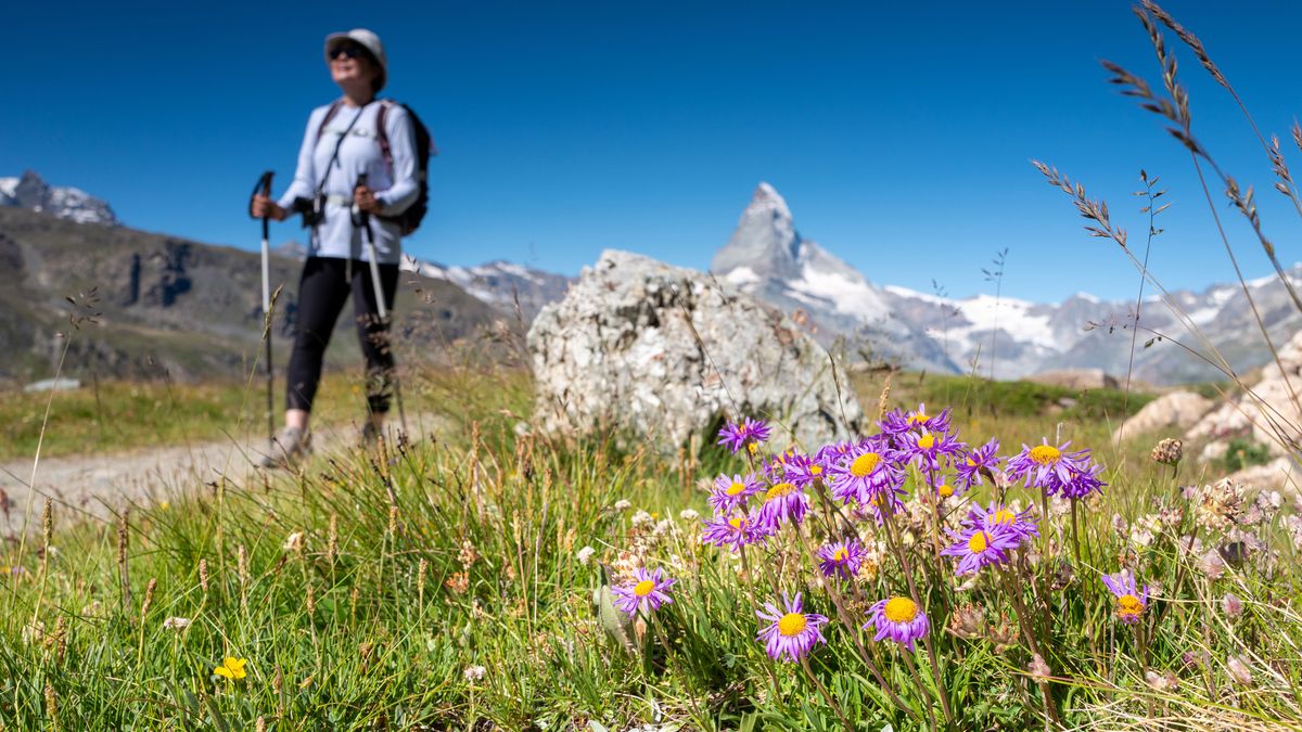 spring hiking tips: flowers and the Matterhorn