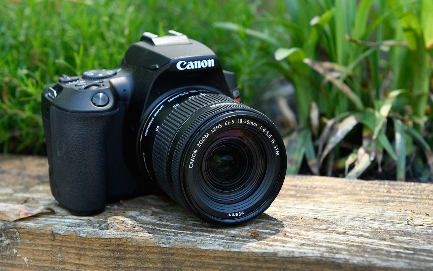Best camera: Canon EOS Rebel SL3