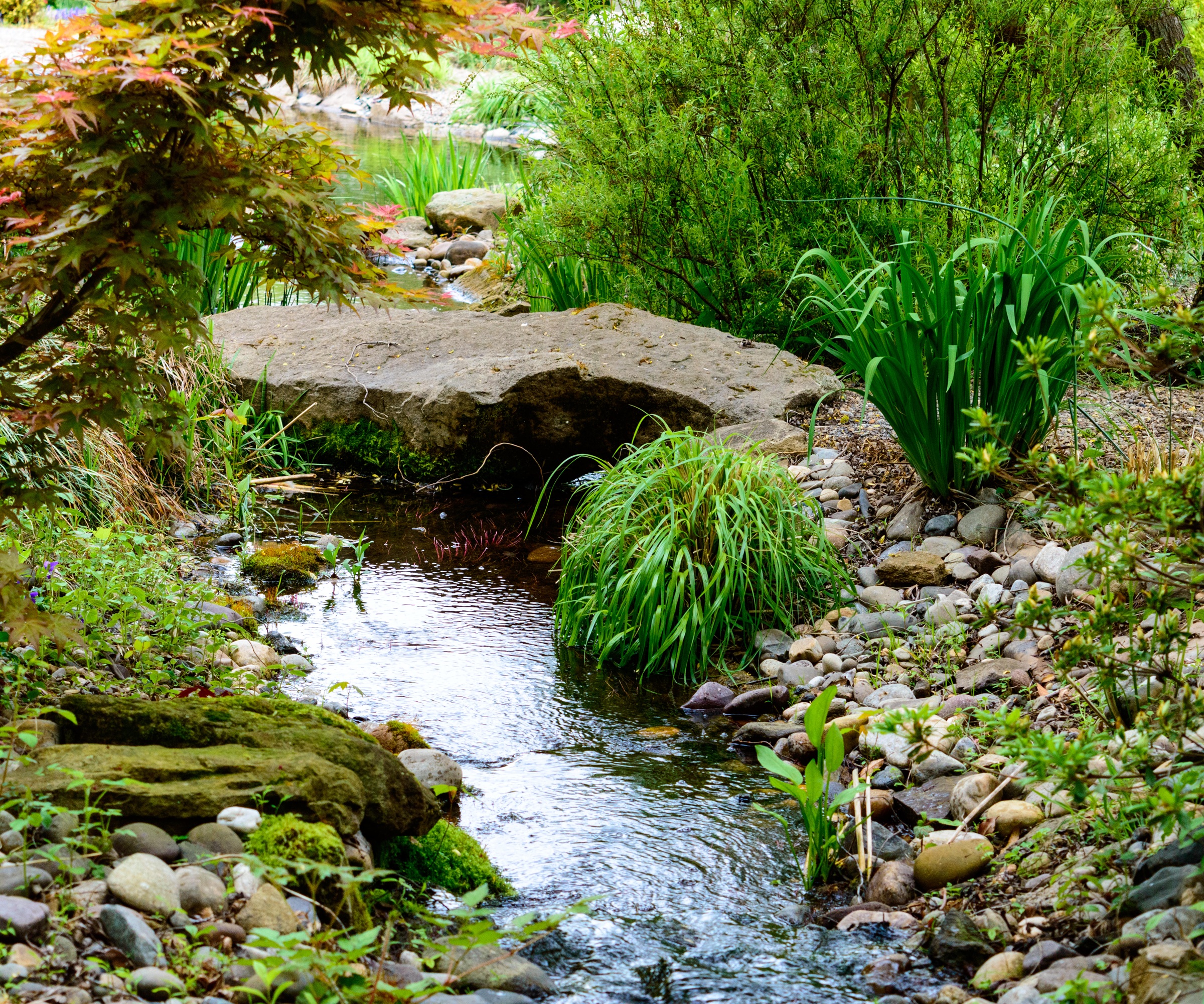 Stream, Japanese garden