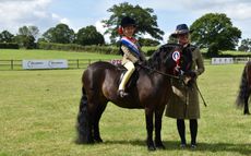 2024 RIHS BSPS Heritage M&M supreme Pretty Polly mini championship