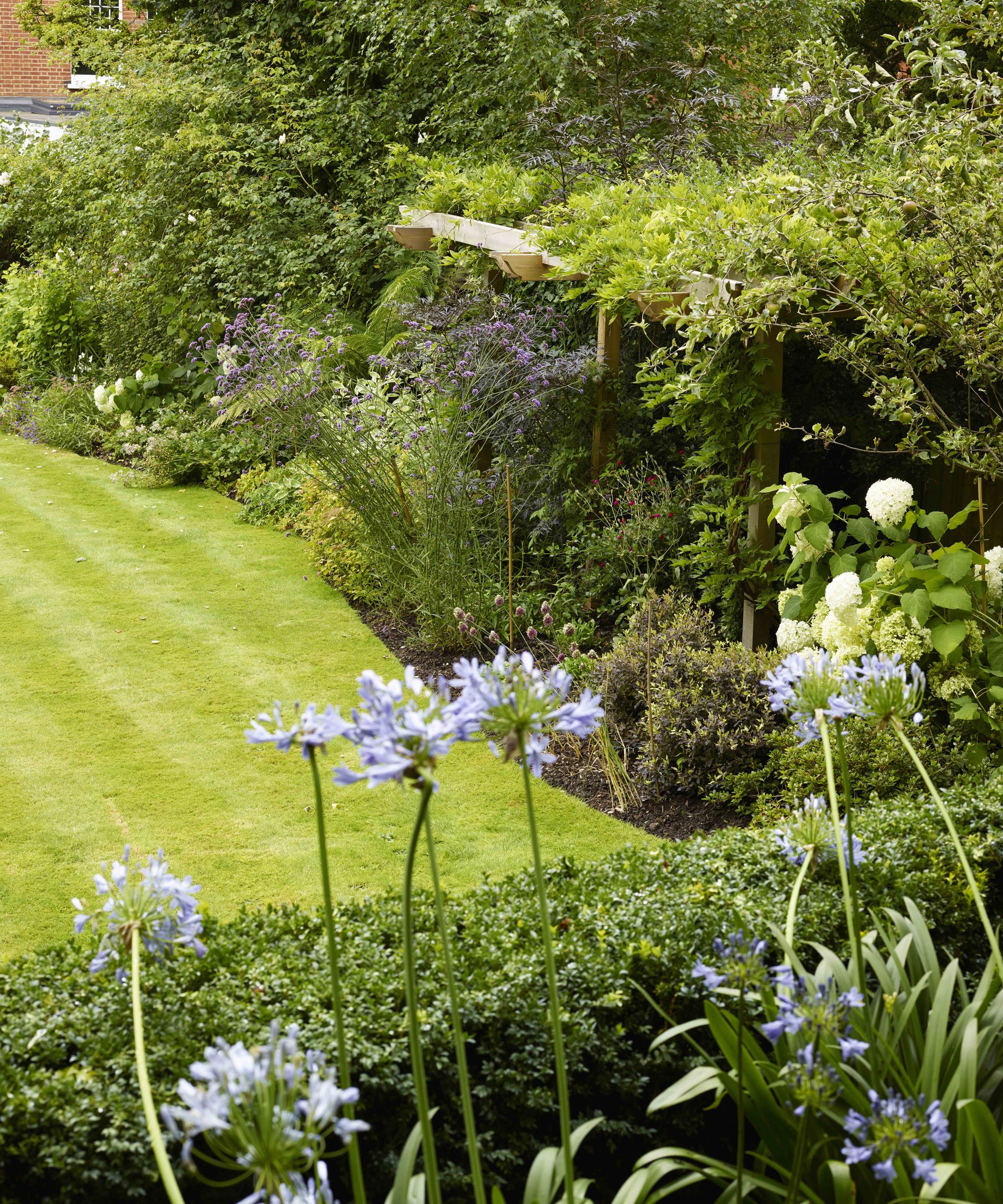 Hedge and flowers in a large garden