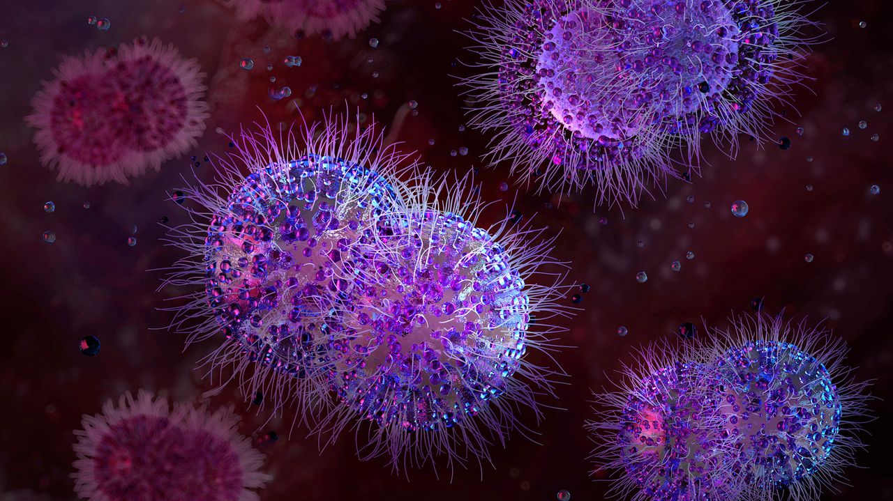 Scientists infected a 'vagina on a chip' with gonorrhea — then cured it with a new antibiotic found by AI