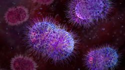 A close up of purple spiky virus balls in a blood vessel