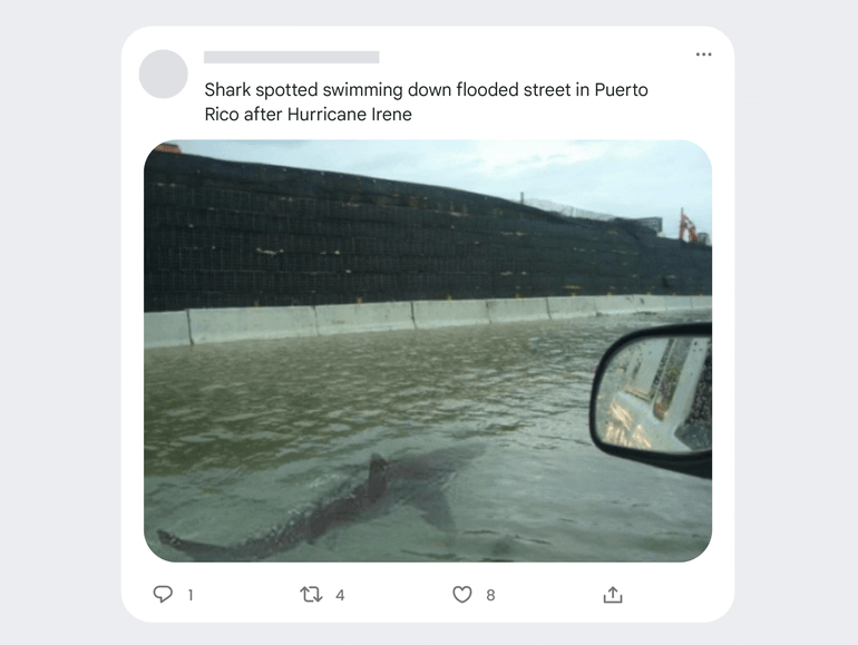 google fact check explorer checking a meme of a shark swimming on the highway