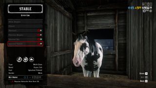 Red Dead Online Gypsy Cob Horse