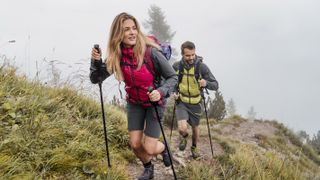 hikers with trekking poles