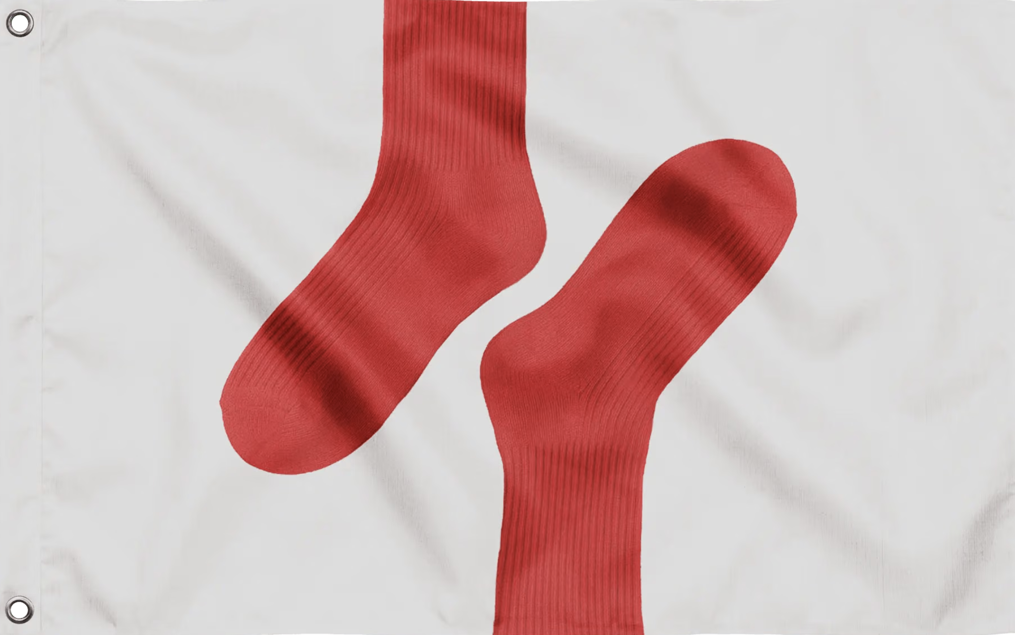Norma Kamali Massachusetts flag design
