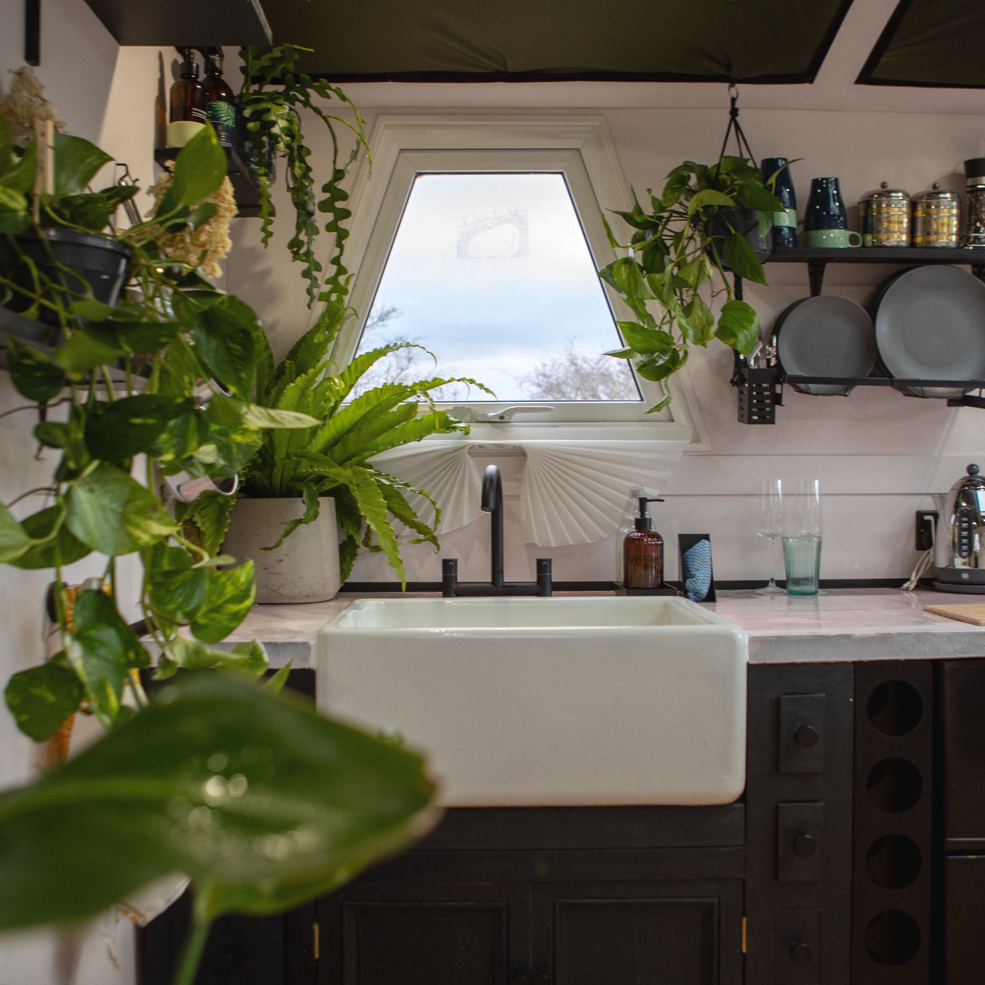 The Floating Terrarium