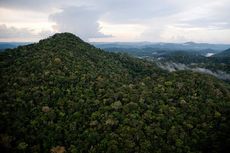 Aerial view of Gr&atilde;o Par&aacute; Ecological Station, the world&rsquo;s largest block of protected rainforest, located on the northern margin of the Amazon River.