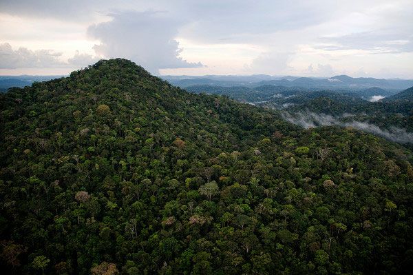 Aerial view of Grão Pará Ecological Station, the world’s largest block of protected rainforest, located on the northern margin of the Amazon River.