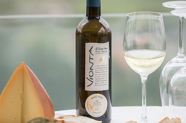 Vionta Freixenet winery