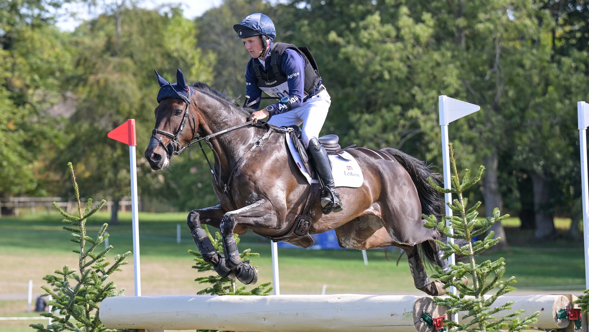 Tom McEwen (GBR) riding Brookfield Danny De Muze during the cross country phase of the Agria Blenheim Palace International Horse Trials 16-20th September 2026