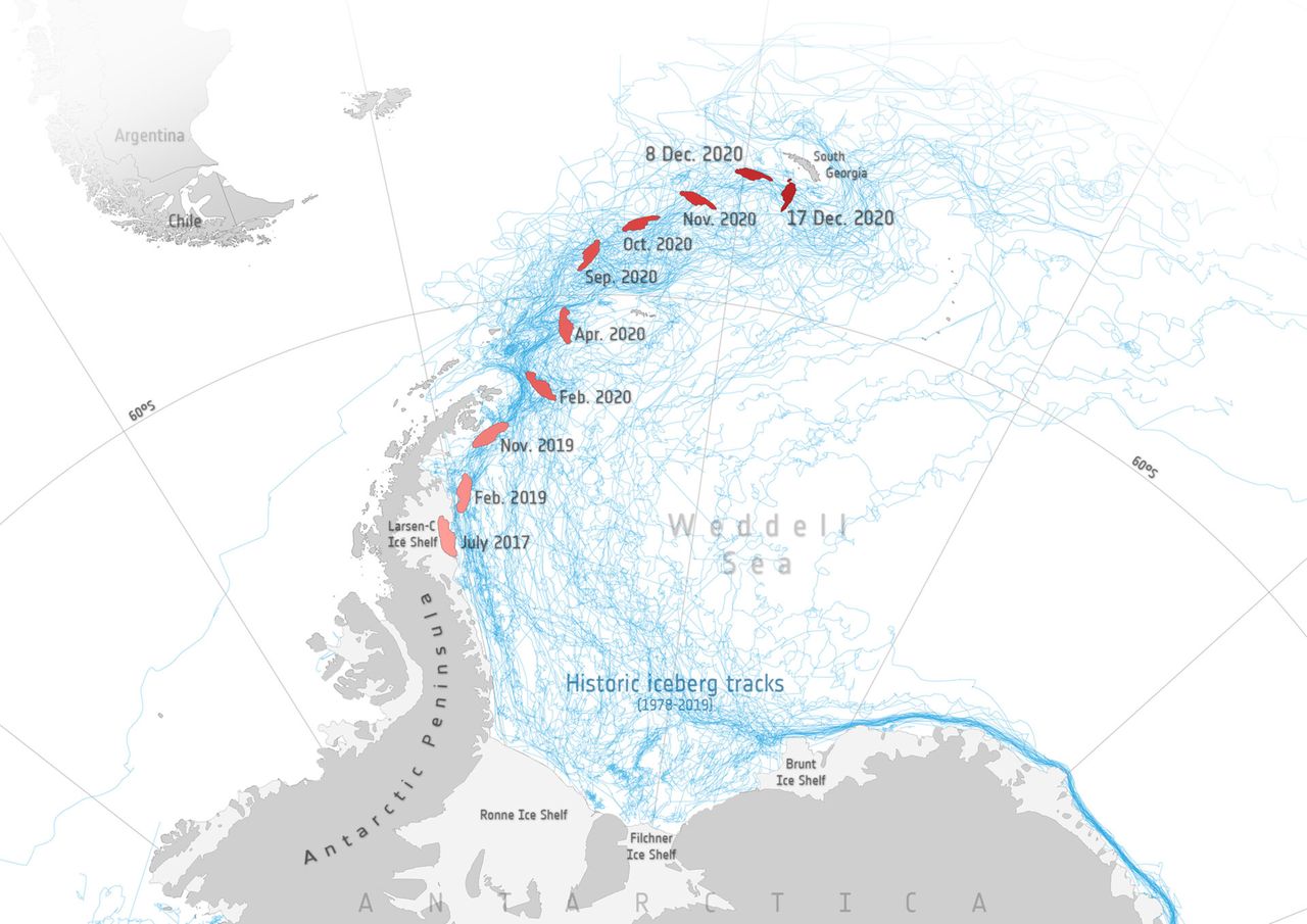 A map shows how A-68a has moved since cracking off of Larsen C. The blue lines show the historical tracks of other icebergs.