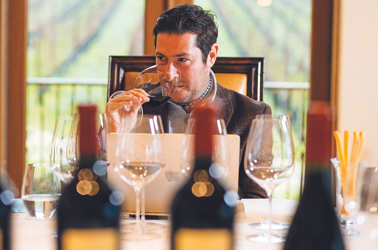 Napa Cabernet 2022 vintage