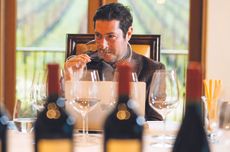 Napa Cabernet 2022 vintage