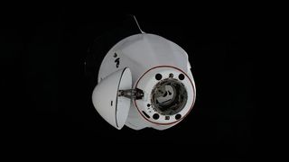 A white SpaceX Dragon space capsule with its nosecone open in space during docking.