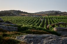 T-oinos winery