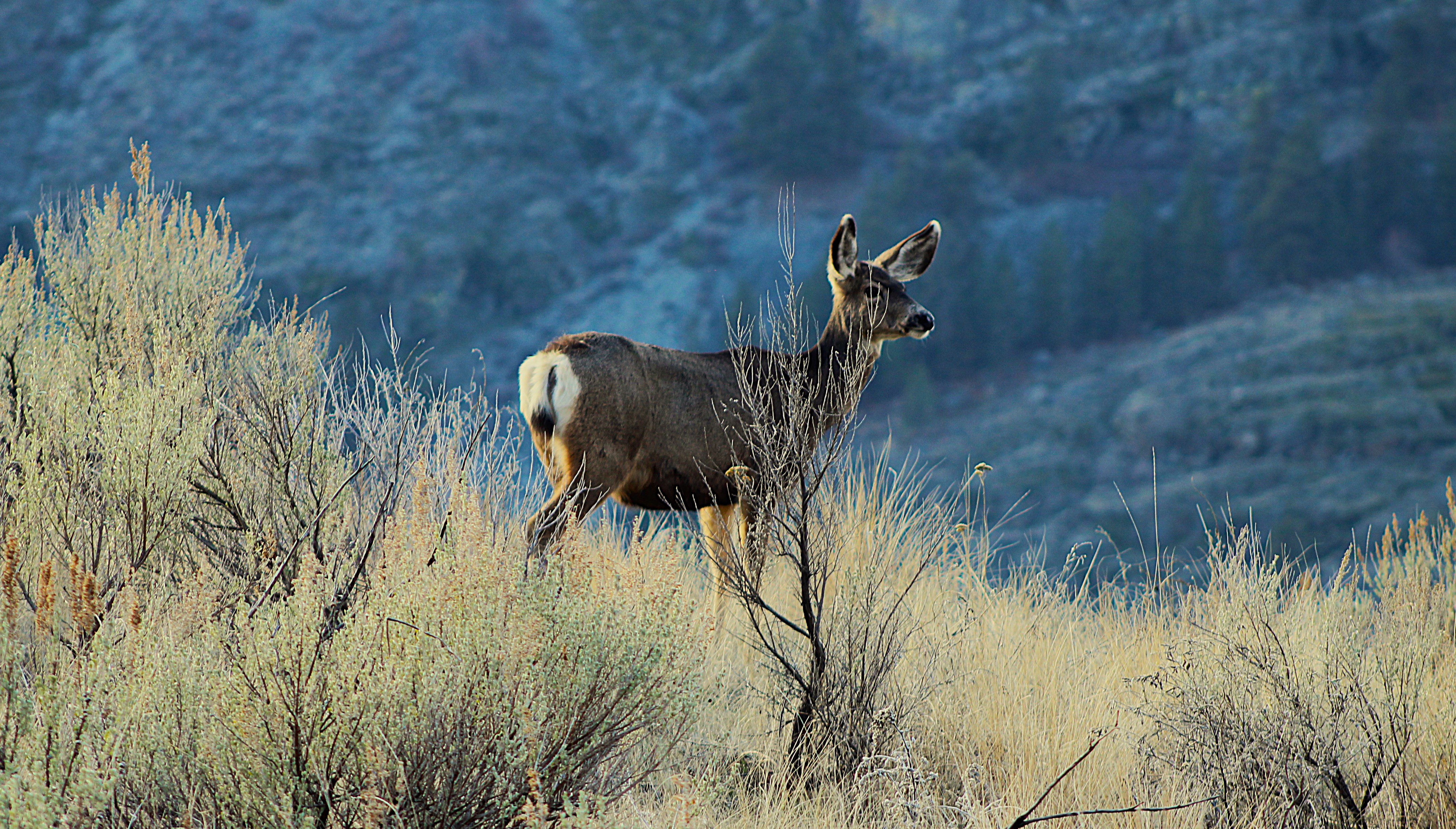 GuruShots - Nature&rsquo;s Masterpiece 2026
