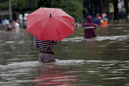 Person with umbrella in water from a flood