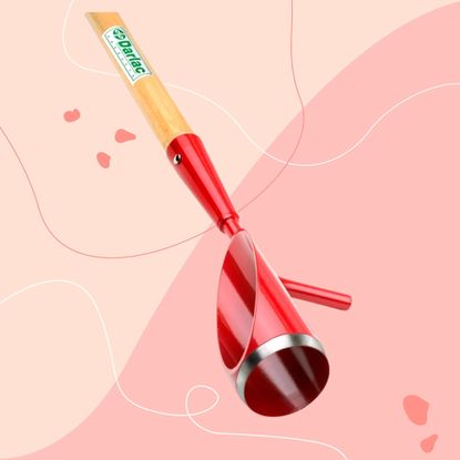 QVC long-handled bulb planter