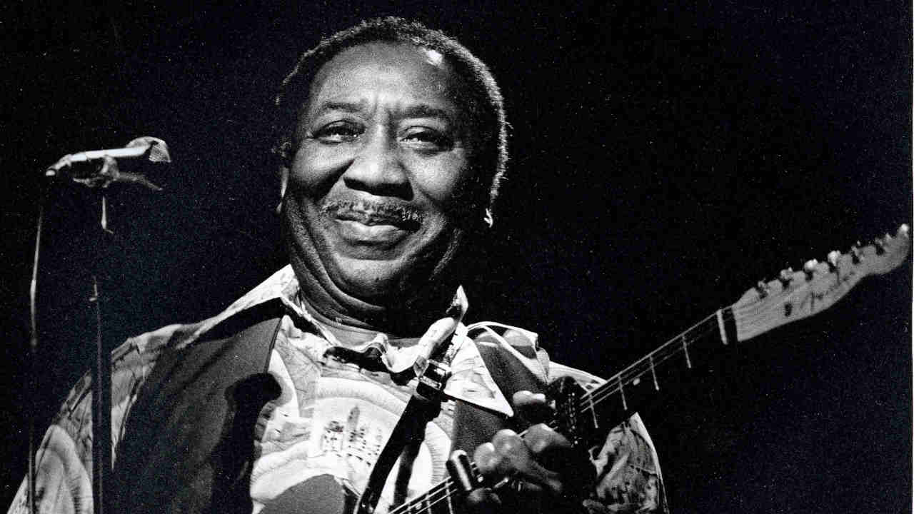 Muddy Waters performing live in 1977