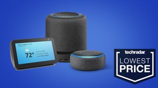 Best Buy Black Friday Echo deals