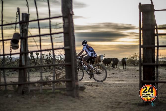 From riding through cattle corrals to encountering all sorts of desert wildlife, riders from over 40 states and 7 countries enjoyed many attributes symbolic of the Southwestern United States throughout the 3-day event experience