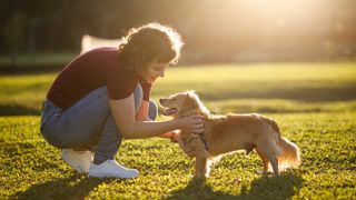 Owner rewarding dog in park