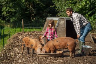 Where is Kelvin Fletcher's Farm? Programme Name: Kelvin's Big Farming Adventure - TX: n/a - Episode: Kelvin's Big Farming Adventure - ep 4 (No. 4) - Picture Shows: and Marnie with pigs. Kelvin Fletcher - (C) BBC Studios - Photographer: Jon Parker Lee