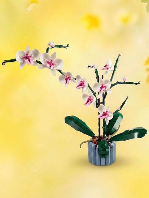 LEGO Botanicals Orchid